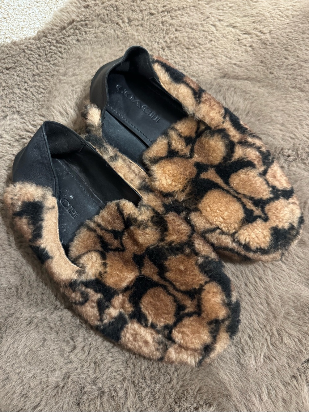 Coach Leopard-Print Shearling Slide Slippers in Tan and Black
